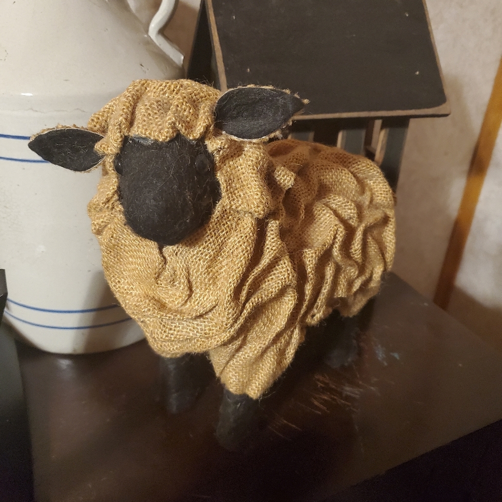 Primitive Sheep